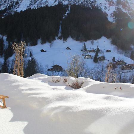 Chalet Pfingsteggblick Grindelwald Eksteriør billede