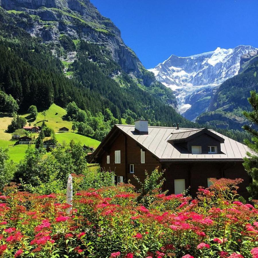 Chalet Pfingsteggblick Grindelwald Eksteriør billede