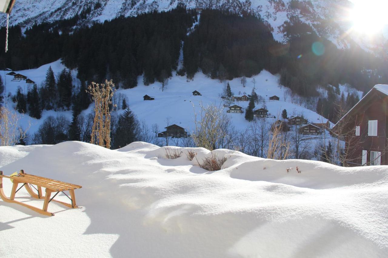 Chalet Pfingsteggblick Grindelwald Eksteriør billede
