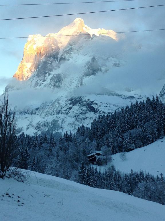 Chalet Pfingsteggblick Grindelwald Eksteriør billede