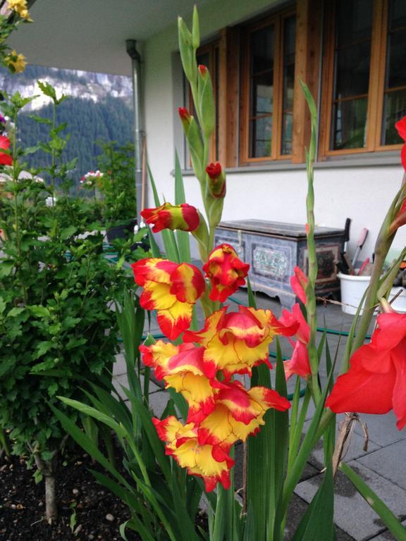 Chalet Pfingsteggblick Grindelwald Eksteriør billede